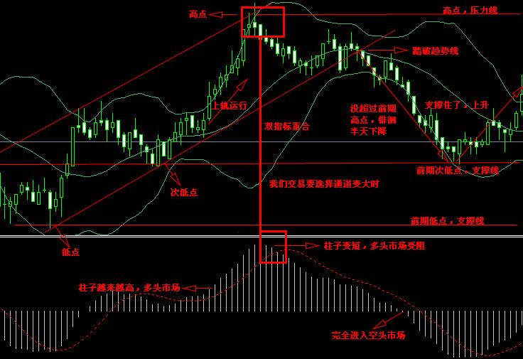 柯尔凯思官网：炒外汇入门基础知识(图10)