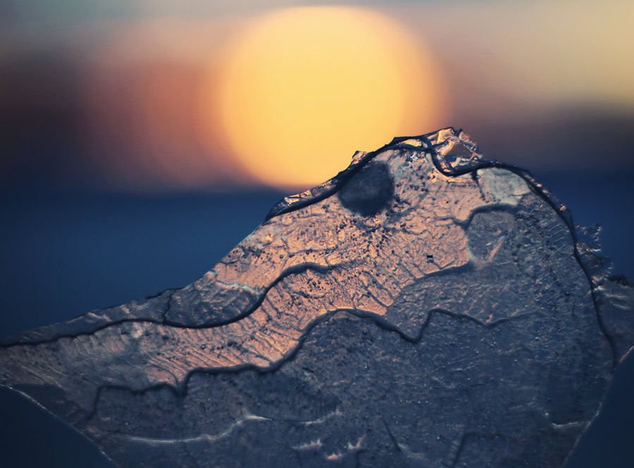 柯尔凯思：炒外汇亏钱，都是你自己的错！(图1)